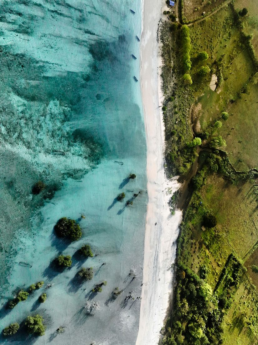 Aerial view of turquoise shallows, mangroves and a white sand beach meeting green fields